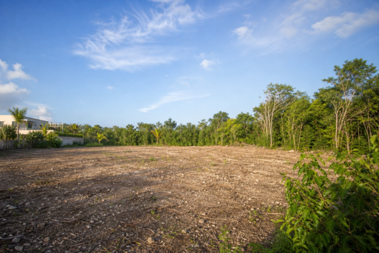 Read more about the article Santa Lucia Terreno: 900 m2 Land in Cancún (Lote 04)
