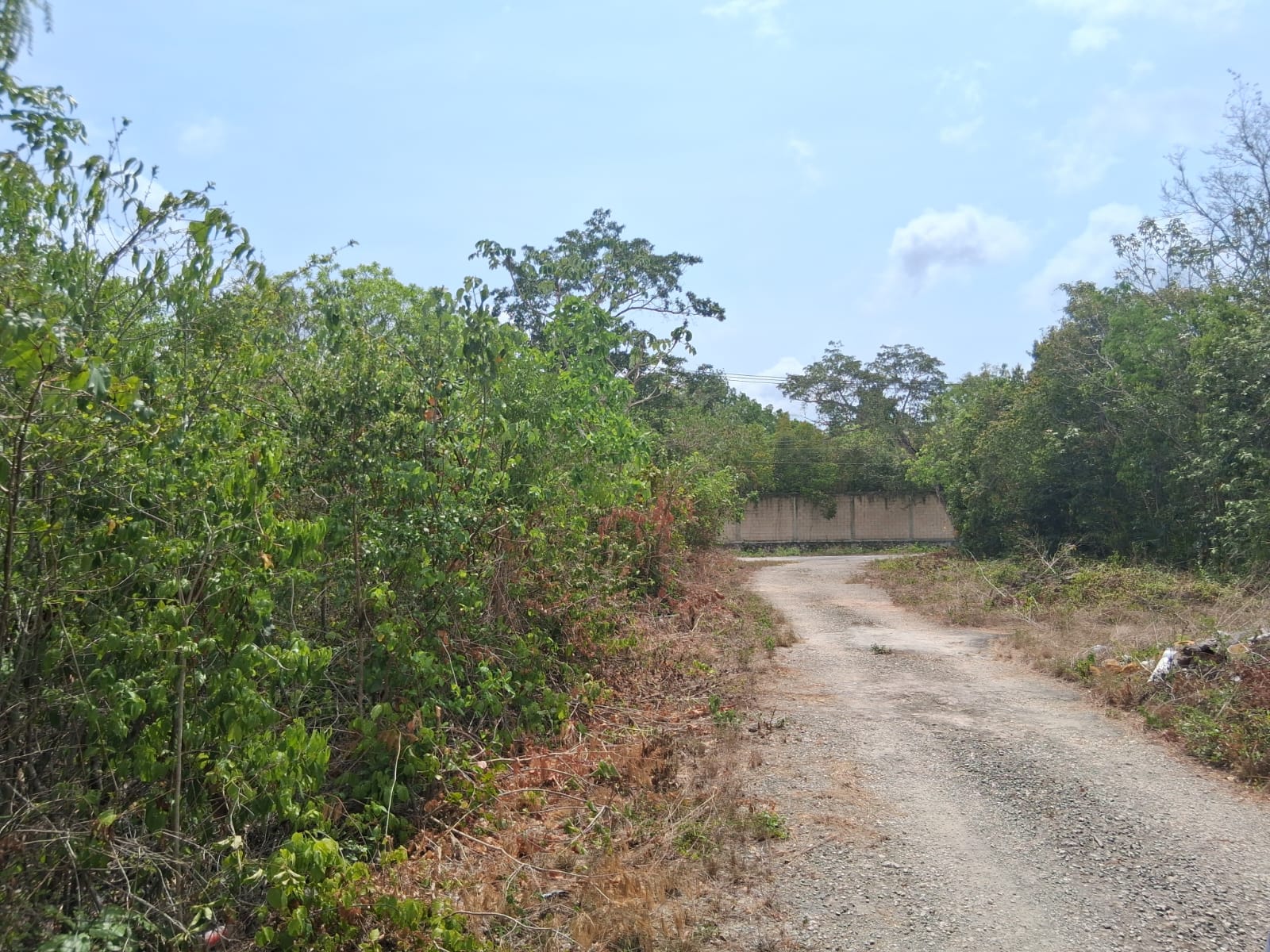 You are currently viewing Terreno en venta Ave. Huayacan Fracc. El Pedregal 600 metros – Lote Comercial