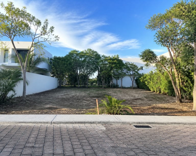 Read more about the article La Laguna land in Puerto Cancún: Location-Focused Buyer Notes