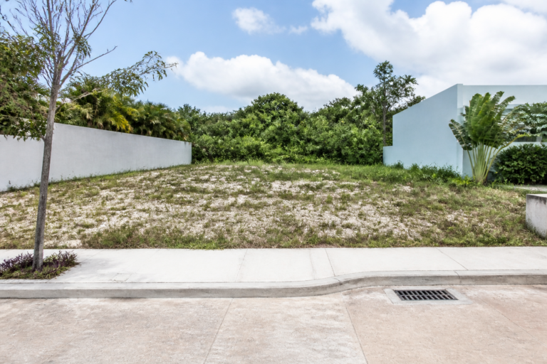 Read more about the article Puerto Cancun lot: What MXN 7.3M Buys in La Laguna