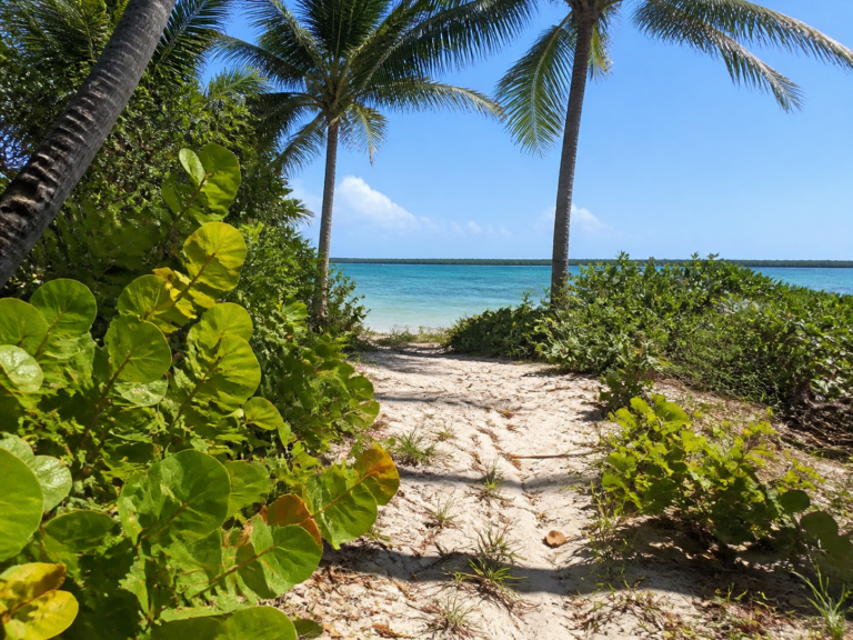 Read more about the article Puerto Cancun Land With Private Beach Access in La Laguna