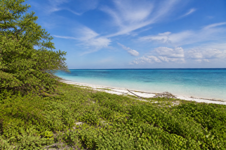 Read more about the article Terreno La Laguna: Acceso Directo y Privado a la Playa en Puerto Cancún