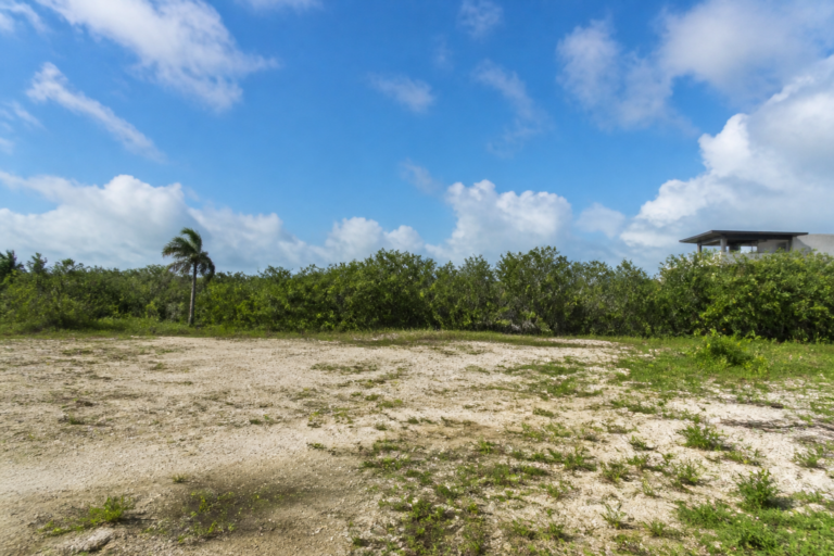Read more about the article Terreno La Laguna: acceso directo y privado a la playa